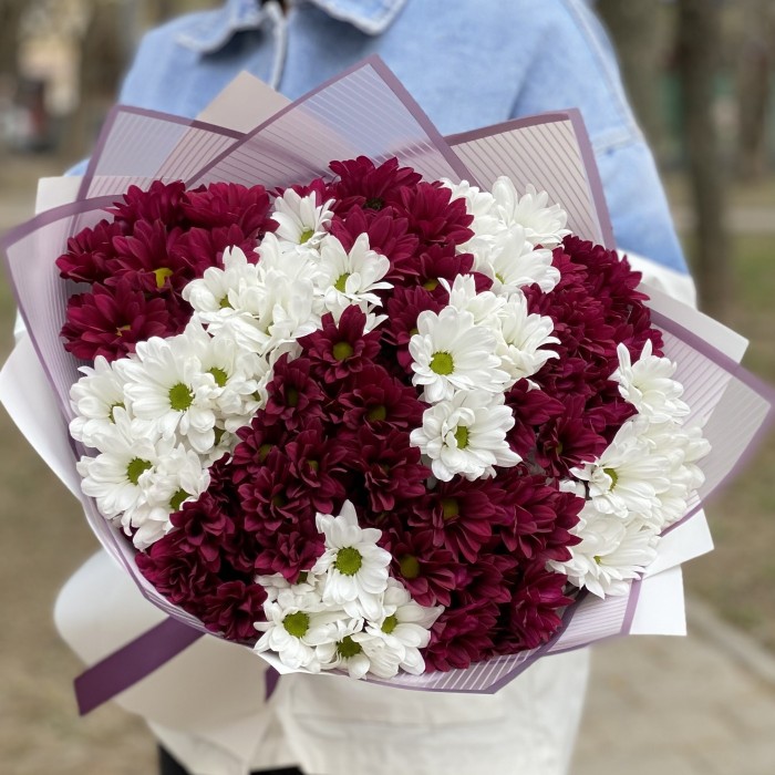 15 белых и фиолетовых кустовых хризантем