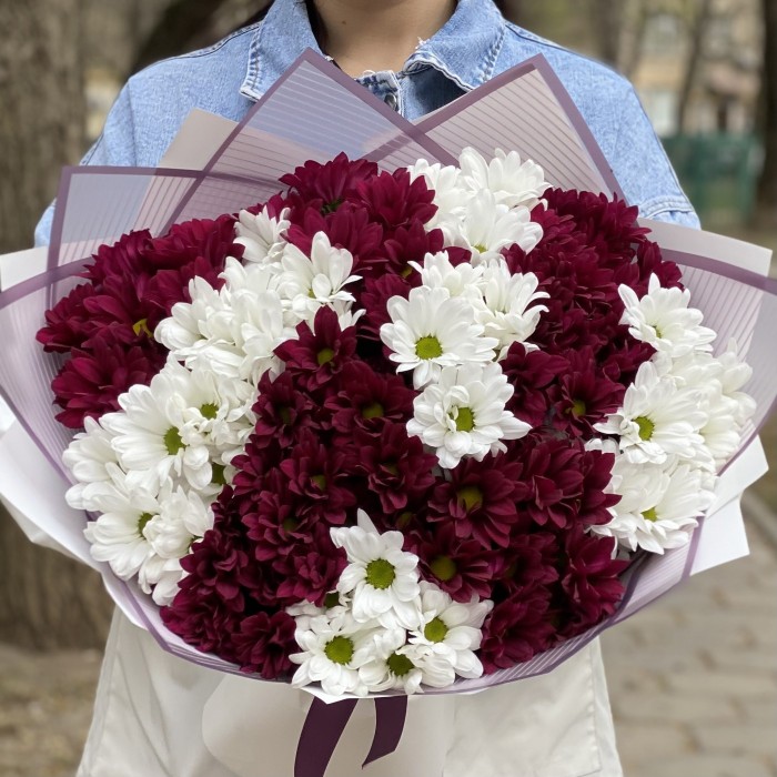 15 белых и фиолетовых кустовых хризантем