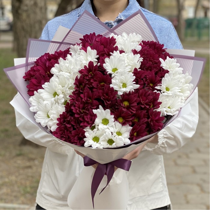 15 белых и фиолетовых кустовых хризантем
