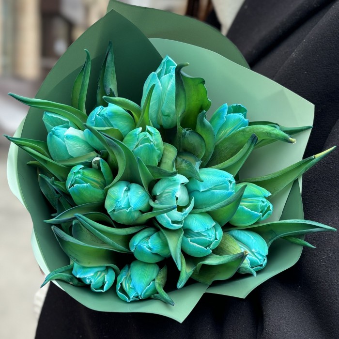 15 бирюзовых тюльпанов