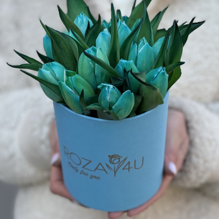 15 бирюзовых тюльпанов в коробке