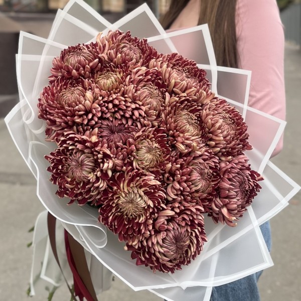 15 бордовых хризантем