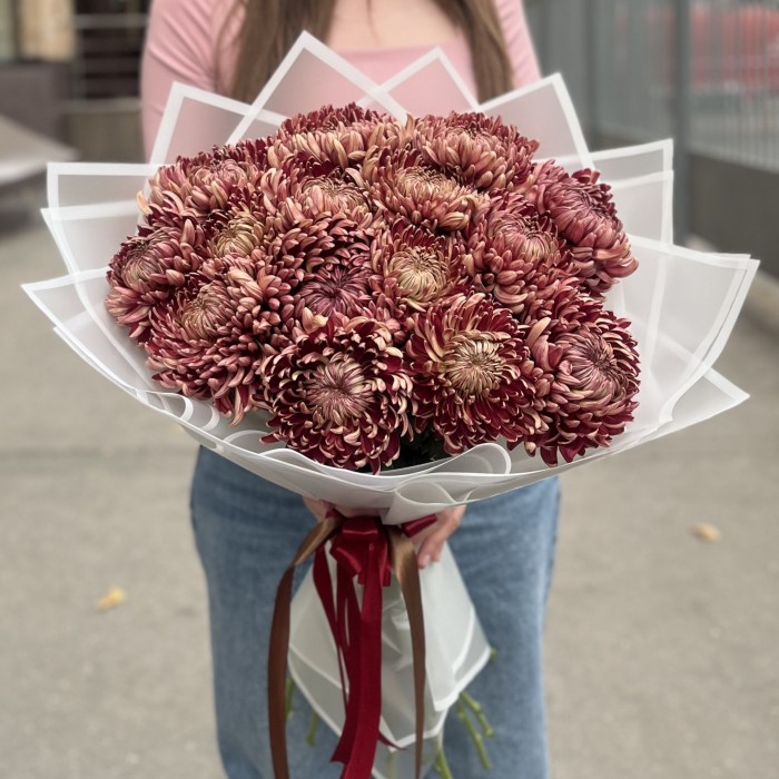 15 бордовых хризантем