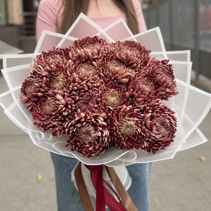 15 бордовых хризантем