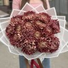 15 бордовых хризантем