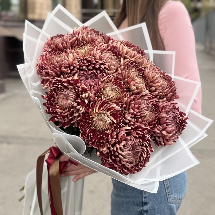 15 бордовых хризантем