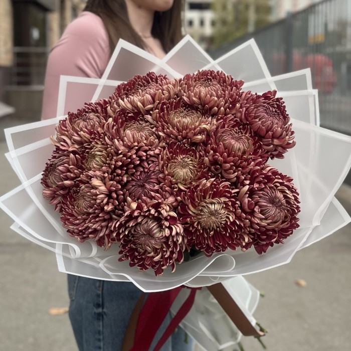 15 бордовых хризантем