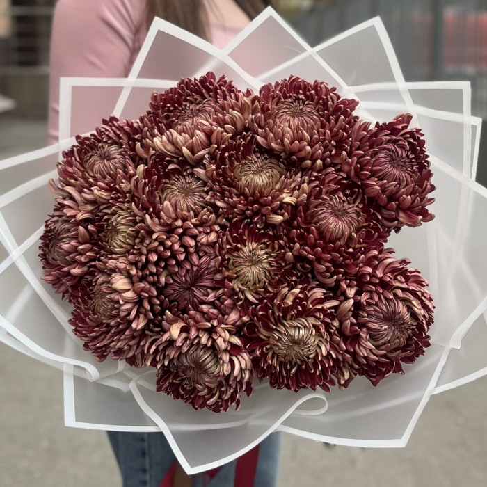 15 бордовых хризантем