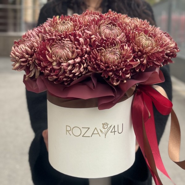 15 бордовых хризантем в коробке