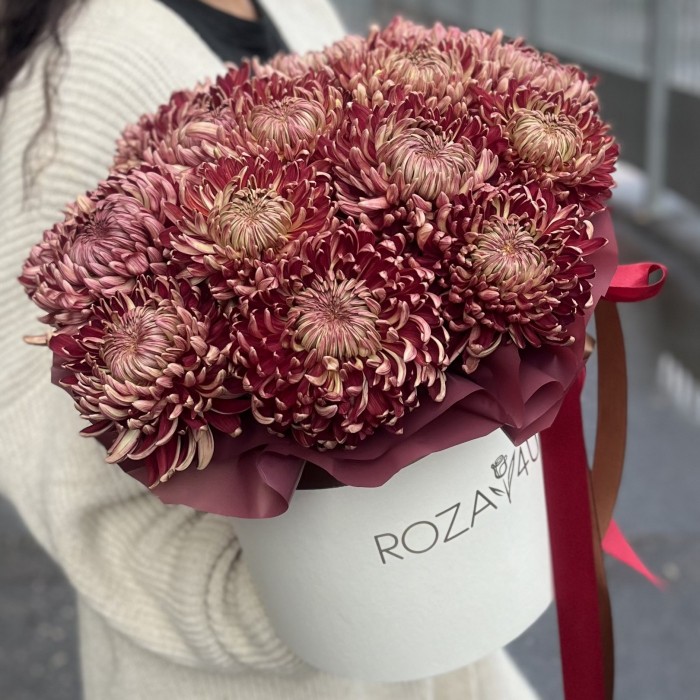 15 бордовых хризантем в коробке
