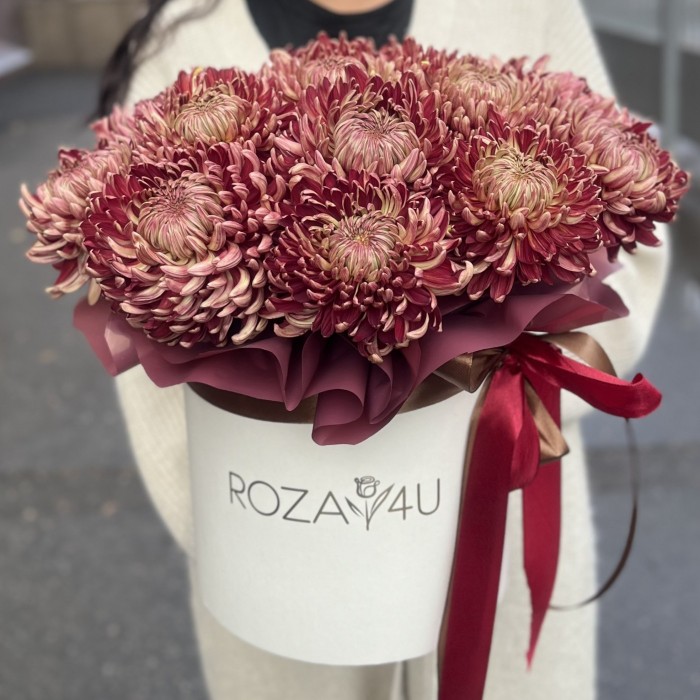 15 бордовых хризантем в коробке