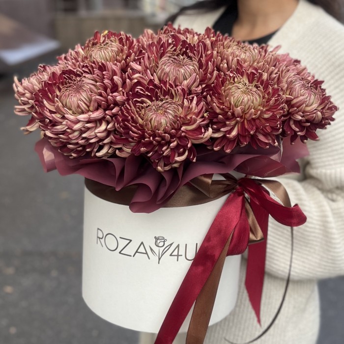 15 бордовых хризантем в коробке