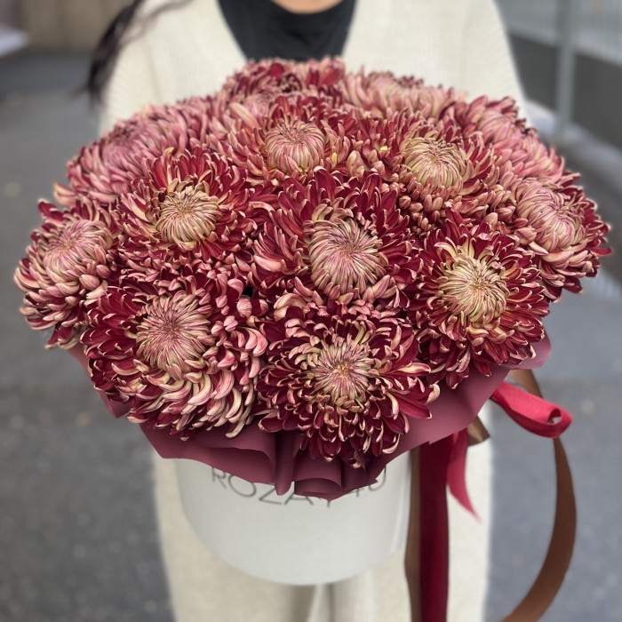 15 бордовых хризантем в коробке