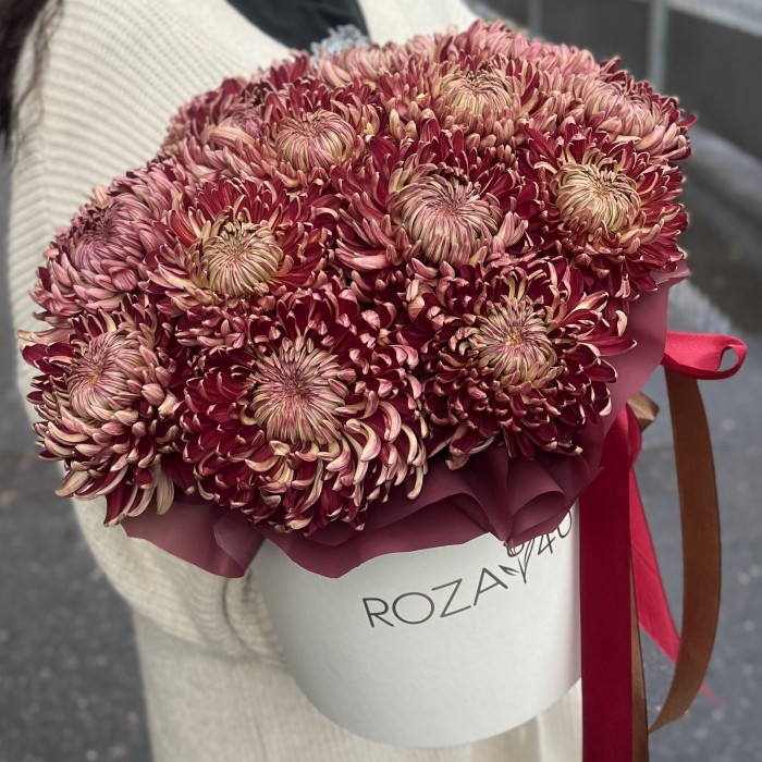 15 бордовых хризантем в коробке