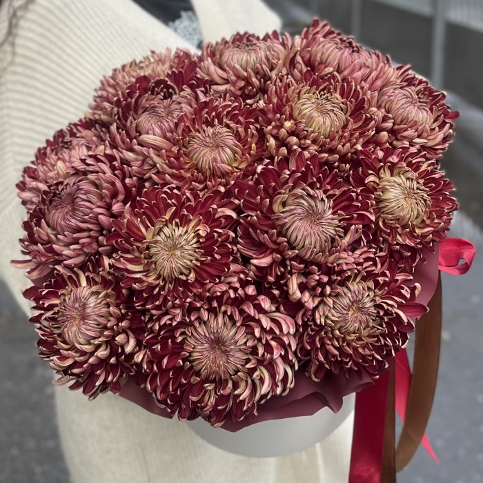 15 бордовых хризантем в коробке