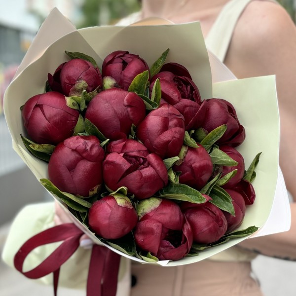 15 бордовых пионов Ред Шарм