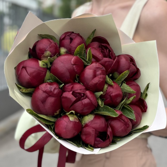 15 бордовых пионов Ред Шарм