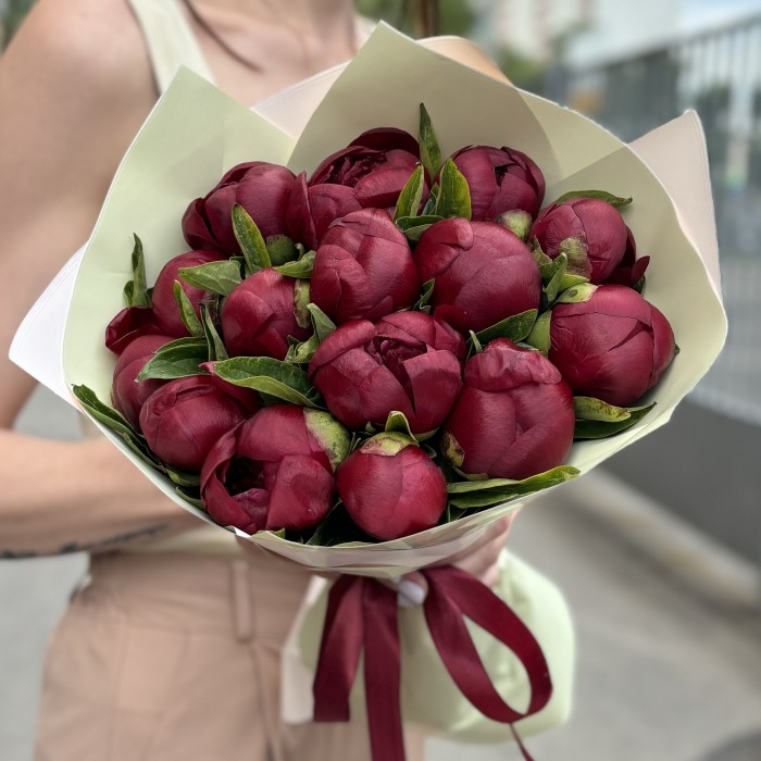 15 бордовых пионов Ред Шарм