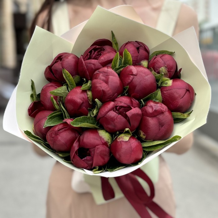 15 бордовых пионов Ред Шарм