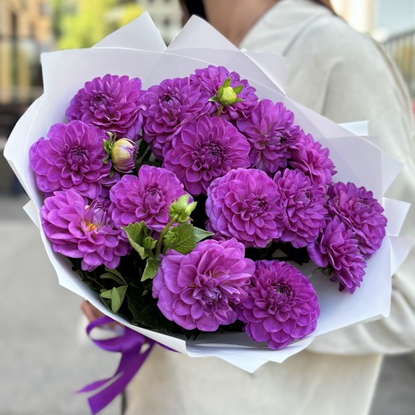 15 фиолетовых георгин