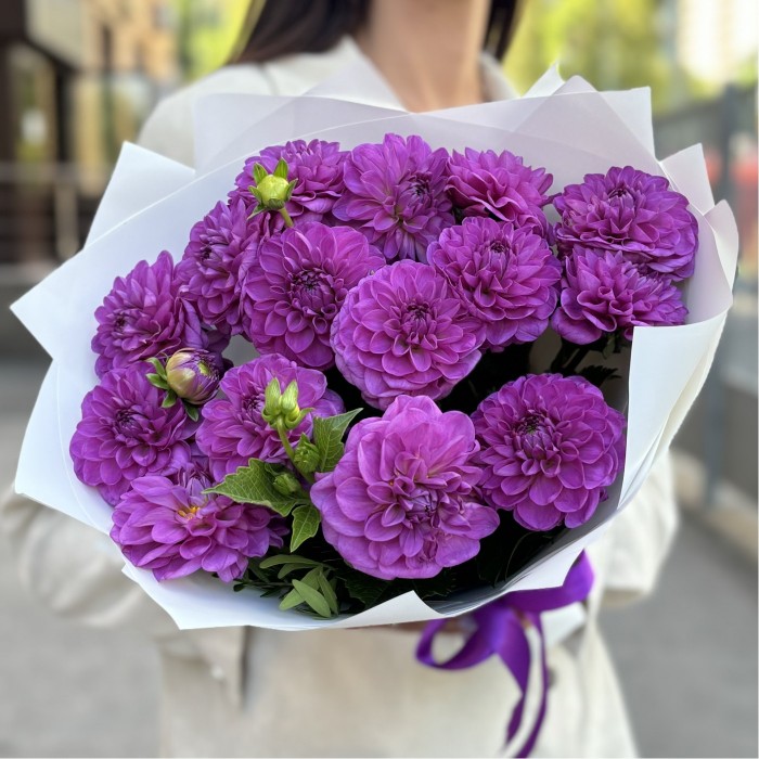 15 фиолетовых георгин