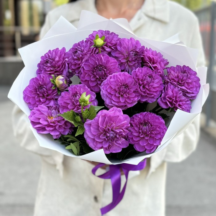 15 фиолетовых георгин