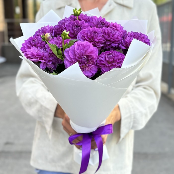 15 фиолетовых георгин