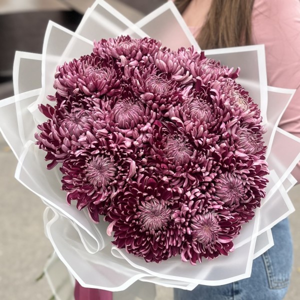 15 фиолетовых хризантем