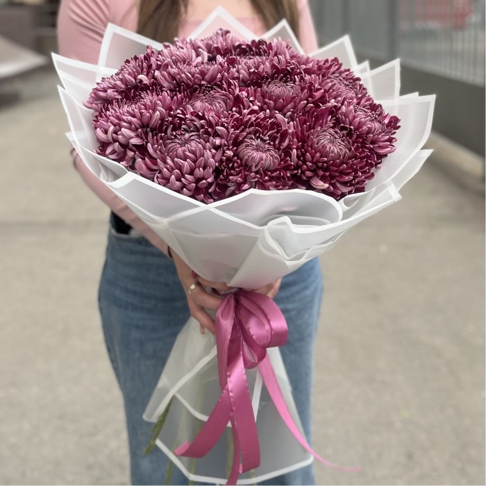 15 фиолетовых хризантем