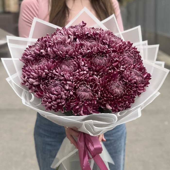 15 фиолетовых хризантем