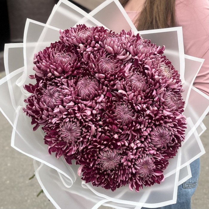 15 фиолетовых хризантем