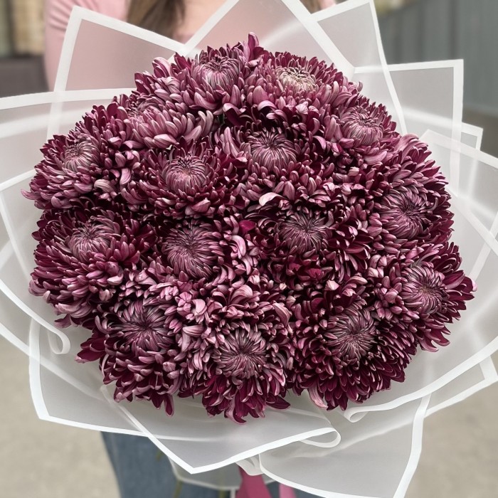 15 фиолетовых хризантем
