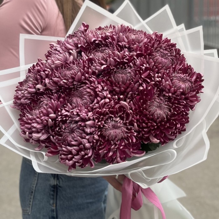 15 фиолетовых хризантем