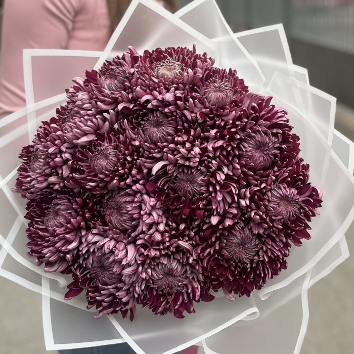 15 фиолетовых хризантем