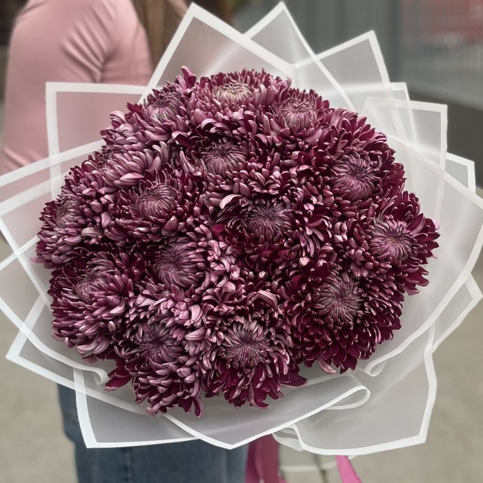 15 фиолетовых хризантем