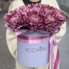 15 фиолетовых хризантем в коробке