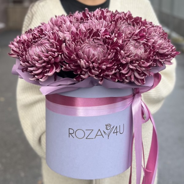 15 фиолетовых хризантем в коробке