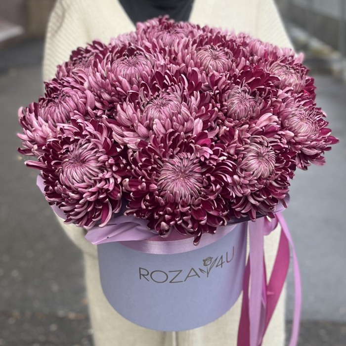 15 фиолетовых хризантем в коробке