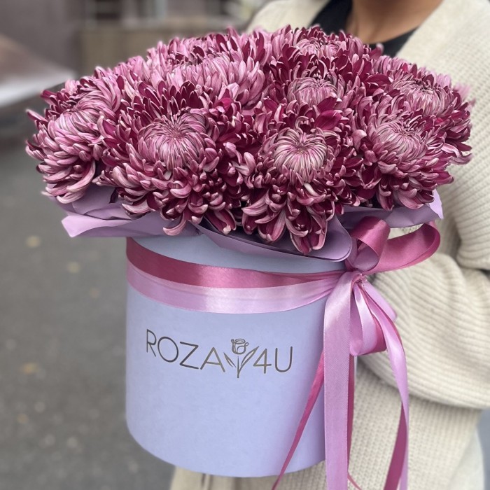15 фиолетовых хризантем в коробке