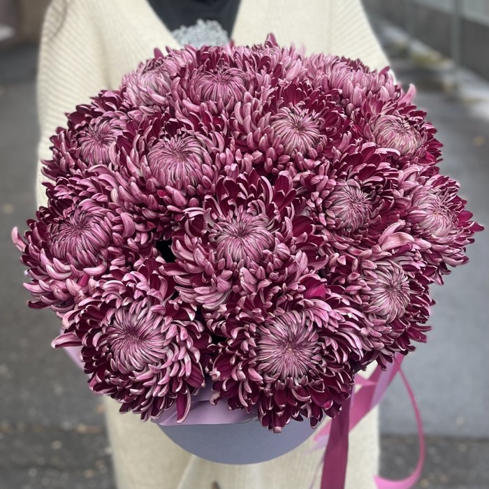 15 фиолетовых хризантем в коробке