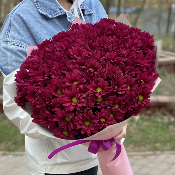15 фиолетовых кустовых хризантем Бакарди