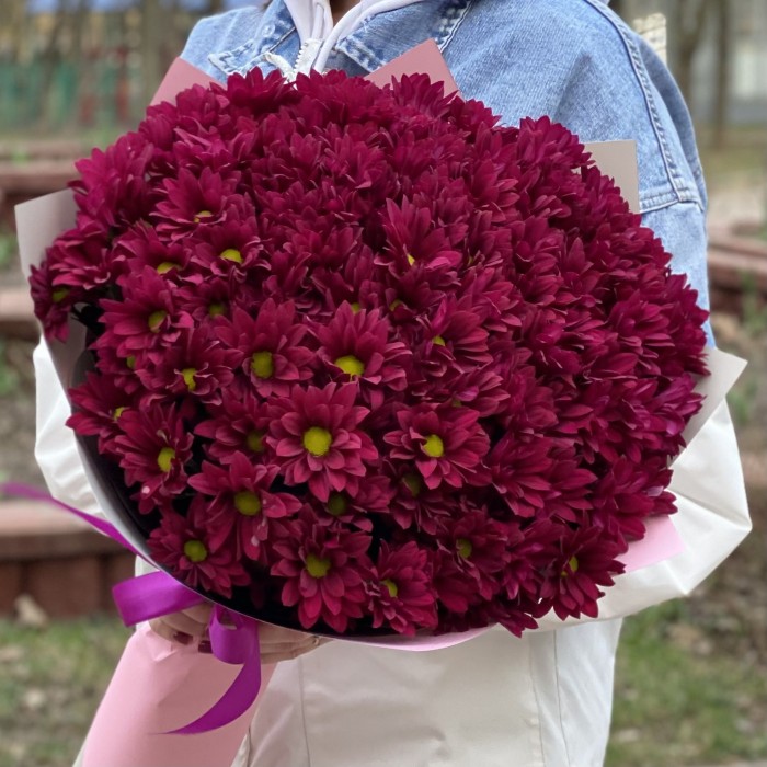 15 фиолетовых кустовых хризантем Бакарди