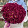 15 фиолетовых кустовых хризантем Бакарди