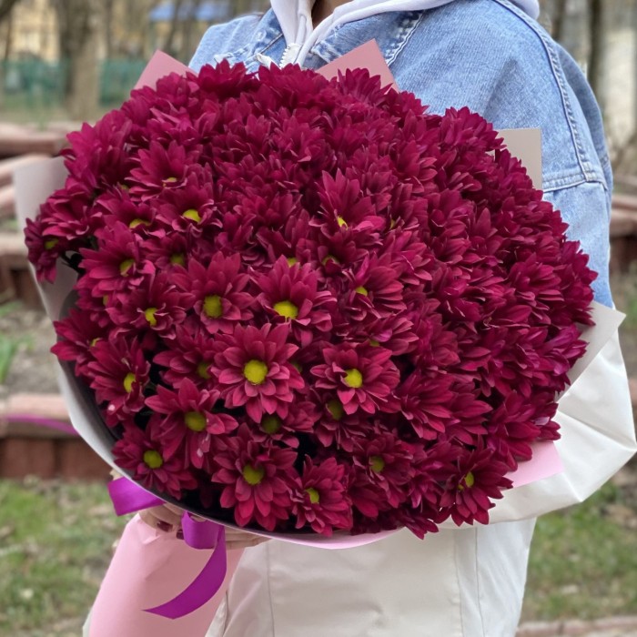 15 фиолетовых кустовых хризантем Бакарди