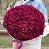 15 фиолетовых кустовых хризантем Бакарди