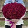 15 фиолетовых кустовых хризантем Бакарди