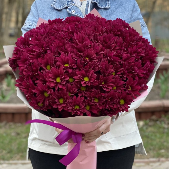 15 фиолетовых кустовых хризантем Бакарди