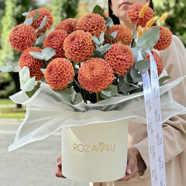 15 георгин коричнево-желтый помпон в коробке