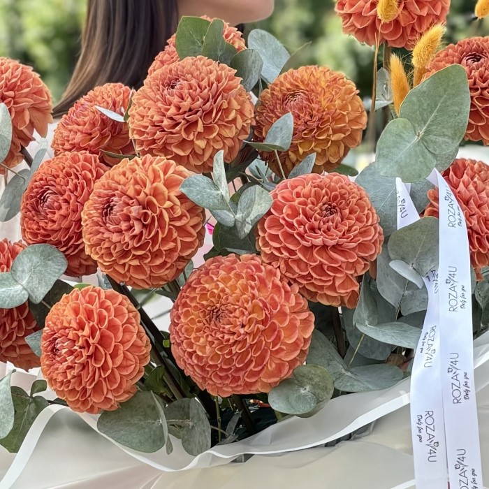 15 георгин коричнево-желтый помпон в коробке