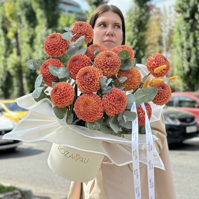 15 георгин коричнево-желтый помпон в коробке